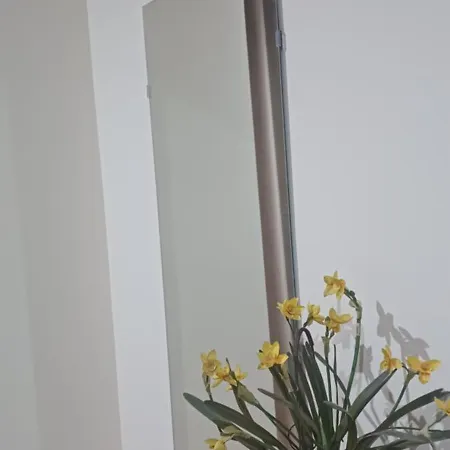 ゲストハウス Residencialusobrasileira 3*