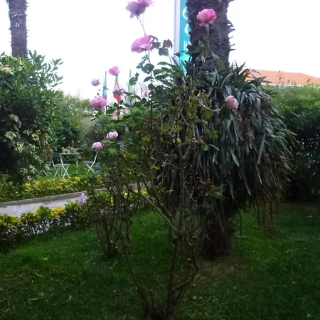 Residencialusobrasileira Leça da Palmeira