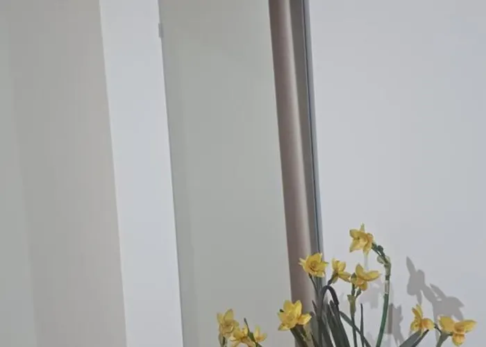 Maison d'hôtes Residencialusobrasileira 3*