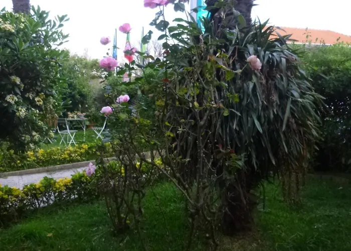 Residencialusobrasileira Leça da Palmeira