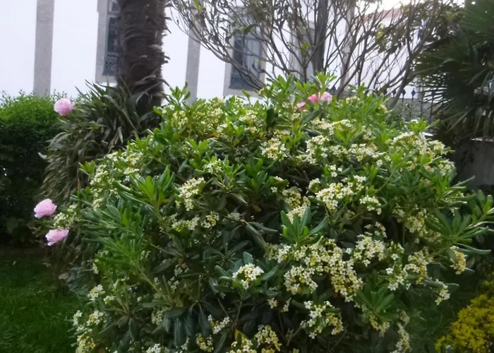 Residencialusobrasileira Maison d'hôtes 3*