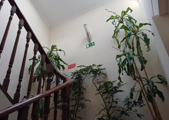 Residencialusobrasileira Pensjonat 3*